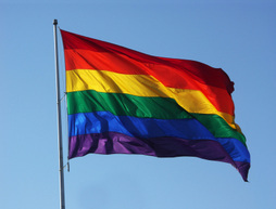 Hochwertige Regenbogen-Fahne aus einem Stück L 90 x 150 cm