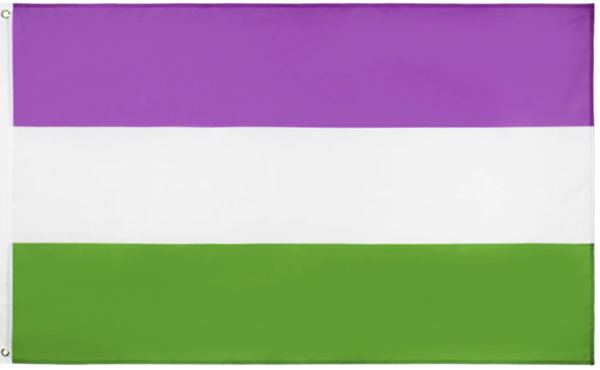 Genderqueer - Fahne L  90 x 150 cm