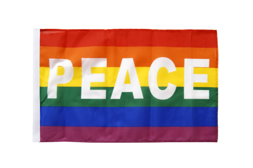 Regenbogen - Fahne PEACE XS    30 x 45 cm