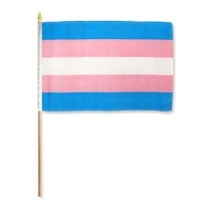 Transgender Stabfahne M (15 x 22 cm)