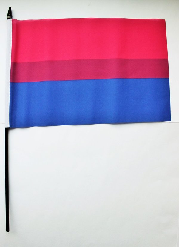 Bisexuell Stabfahne M  (15 x 22 cm)