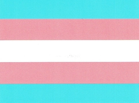 Transgender Aufkleber XS  3 x 5 cm