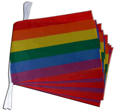 Mittellange Regenbogen - Flaggenkette M mit 20 Flaggen   6,30 m lang