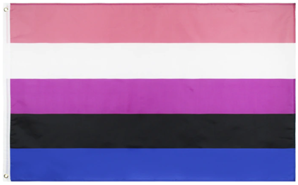 Genderfluid - Fahne M  60 x 90 cm