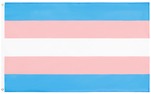 Transgender Fahne 2XL   150 x 250 cm
