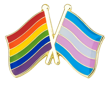 Regenbogen / Transgender Anstecker