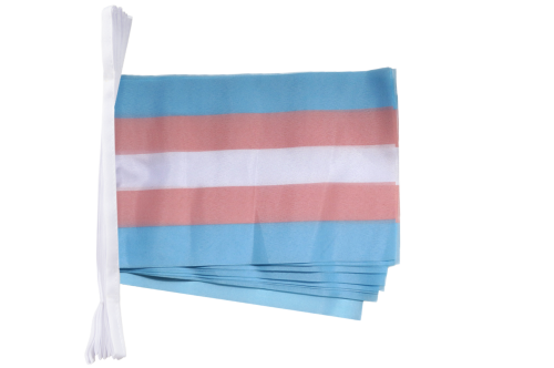 Mittlere Transgender - Flaggenkette M   6 m lang