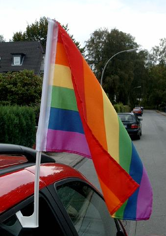 2er Set Regenbogen - Autoflaggen am Stiel