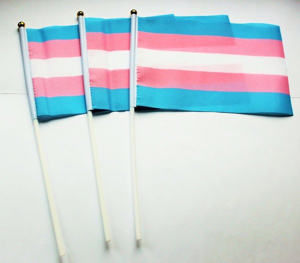 10er Pack Transgender Stabfahne (14 x 21 cm) an weißem Stab