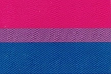 Bisexuell / Bi Pride Aufkleber XS   3 x 5 cm