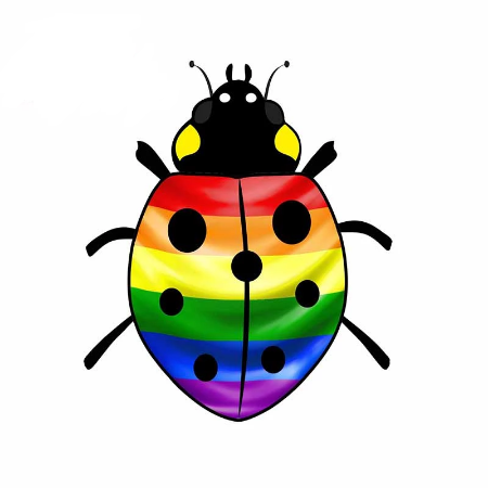 Rainbow Ladybug Sticker  11 x 13 cm