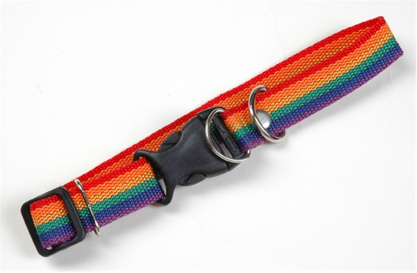 Schmales Regenbogen - Hundehalsband