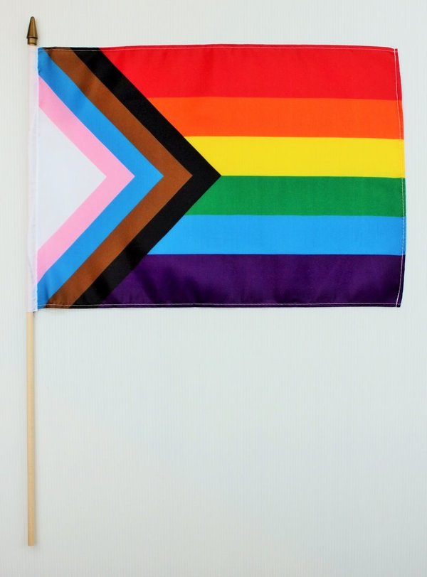 10er Pack grosse Progress Pride Flaggen am Holzstab   30 x 45 cm