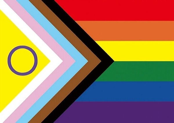 Aufkleber Regenbogen Progress Pride Intersex L   10 x 14 cm