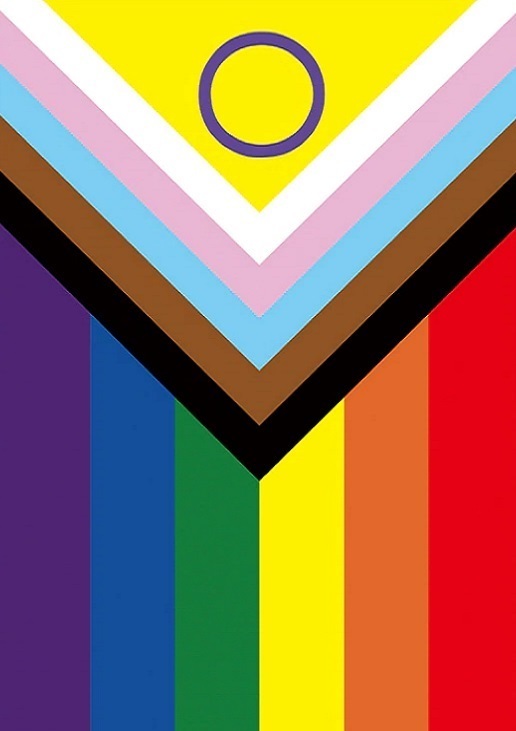 10er Pack grosse Progress Pride Intersex Flaggen am Holzstab   30 x 45 cm