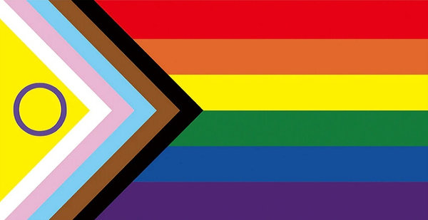 Regenbogen Progress Pride Intersex - Fahne XS   30 x 45 cm