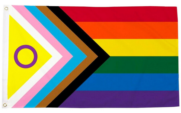 Progress Pride Intersex Flagge 2XL  150 x 240 cm