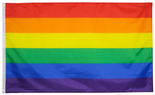 Regenbogen - Flagge L  90 x 150 cm